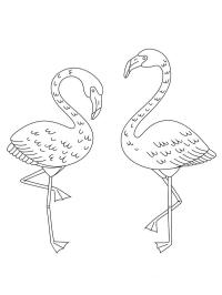 2 flamingo