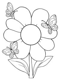 Floare cu fluturi