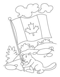 Castor care ţine steagul canadian