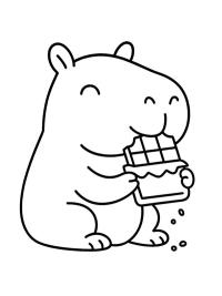 Capibara mănâncă ciocolată