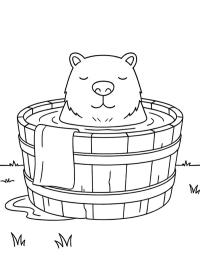 Capibara într-o găleată