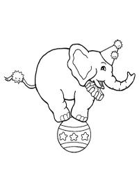 Elefant de circ pe o minge