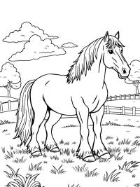 Cal Clydesdale