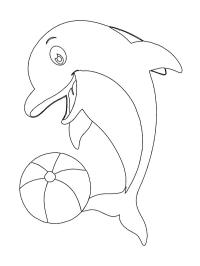 Delfin cu o minge