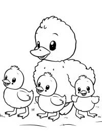 Rățușcă și puii ei