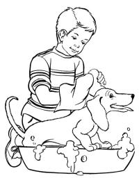 Spălarea câinelui