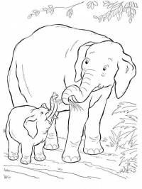 Elefant și pui de elefant