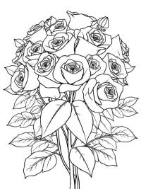 Buchet de trandafiri (adulți)