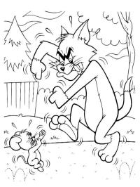 Tom și Jerry se luptă
