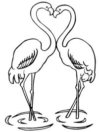 Flamingo îndrăgostiți