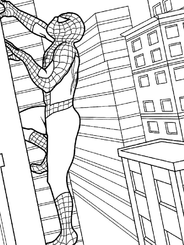 Spiderman se cațără pe clădire de colorat